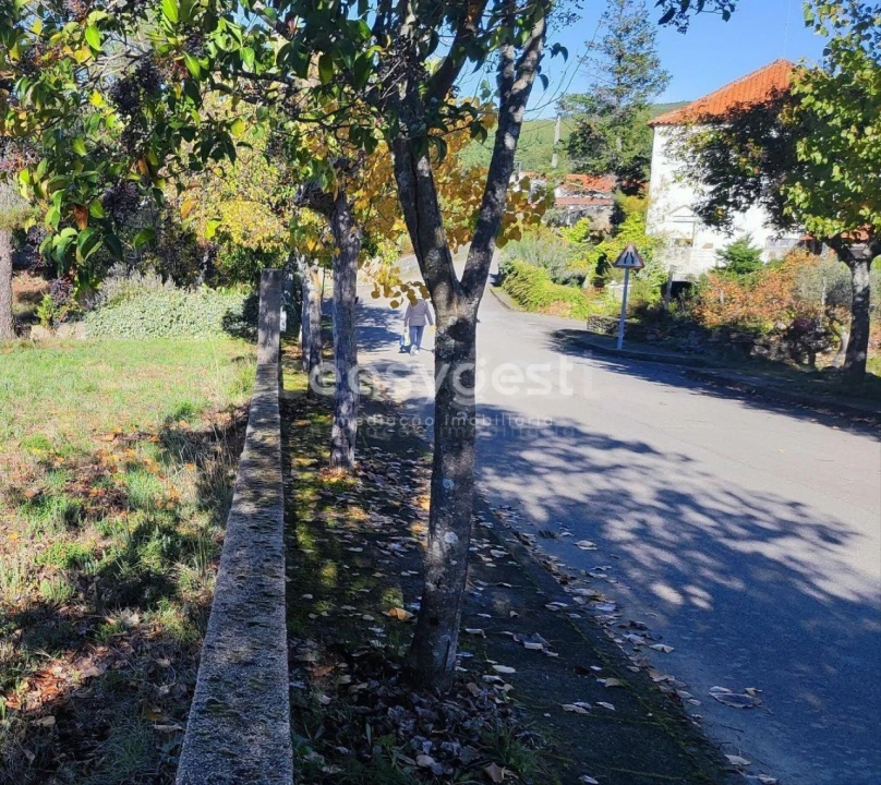Terreno para Venda em São Vicente da Beira Foto 12