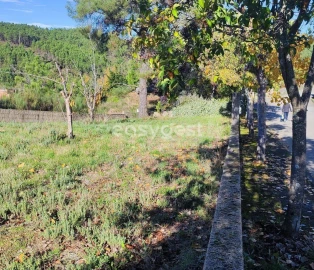 Terreno para Venda em São Vicente da Beira