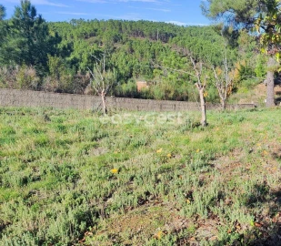 Terreno para Venda em São Vicente da Beira