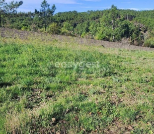 Terreno para Venda em São Vicente da Beira