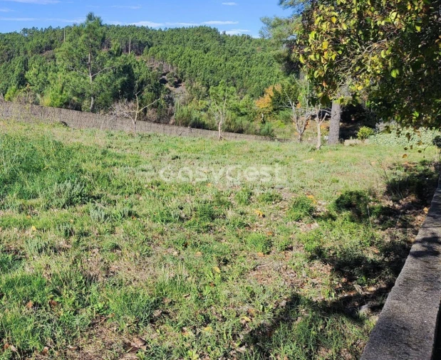 Terreno para Venda em São Vicente da Beira Foto 5