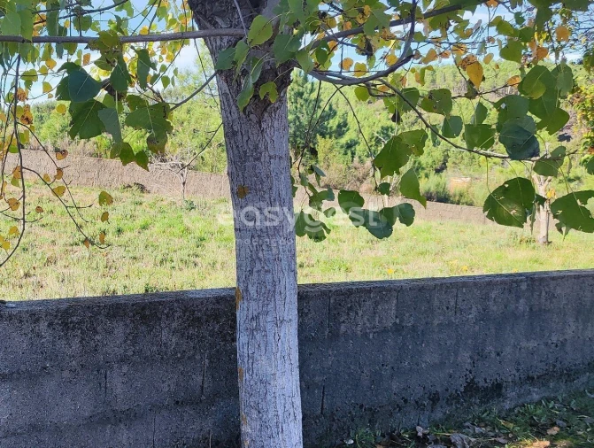 Terreno para Venda em São Vicente da Beira Foto 7