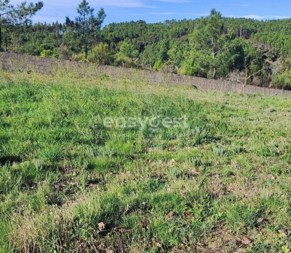 Terreno para Venda em São Vicente da Beira Foto 11