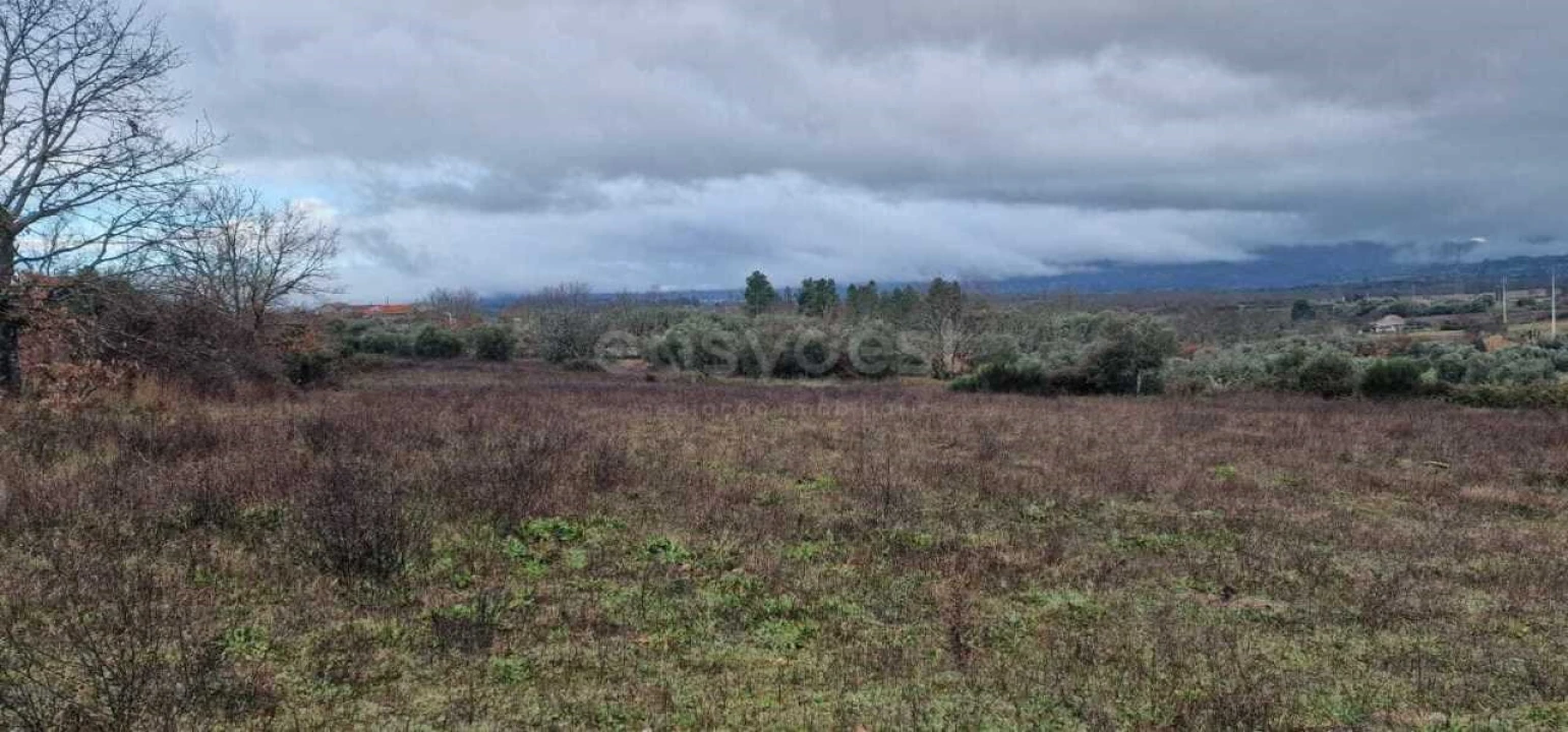 Terreno Agricola ou Rústico para Venda em Peraboa Foto 1