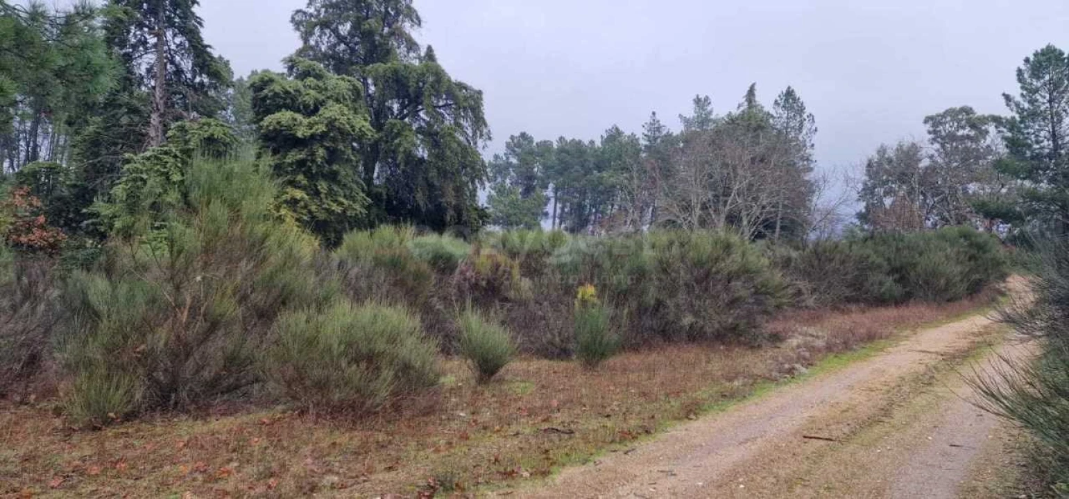 Terreno Agricola ou Rústico para Venda em Peraboa Foto 2