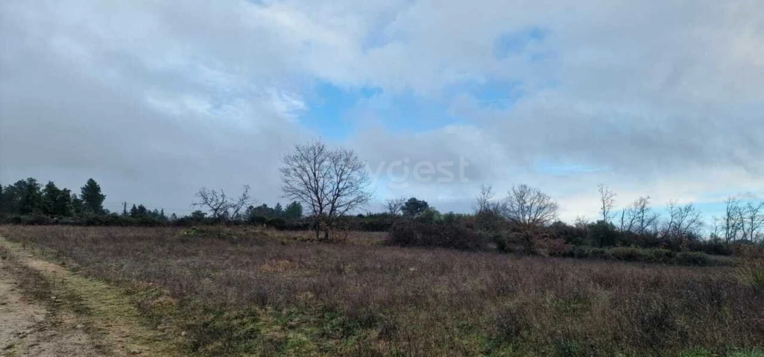 Terreno Agricola ou Rústico para Venda em Peraboa Foto 4