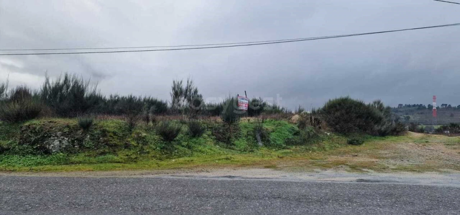 Terreno Agricola ou Rústico para Venda em Peraboa Foto 5