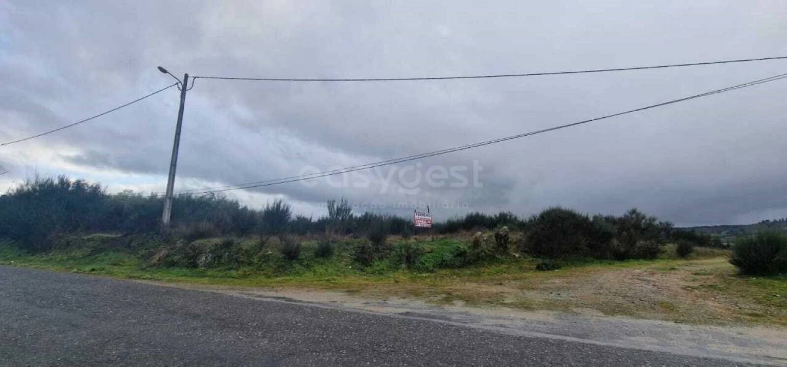 Terreno Agricola ou Rústico para Venda em Peraboa Foto 8