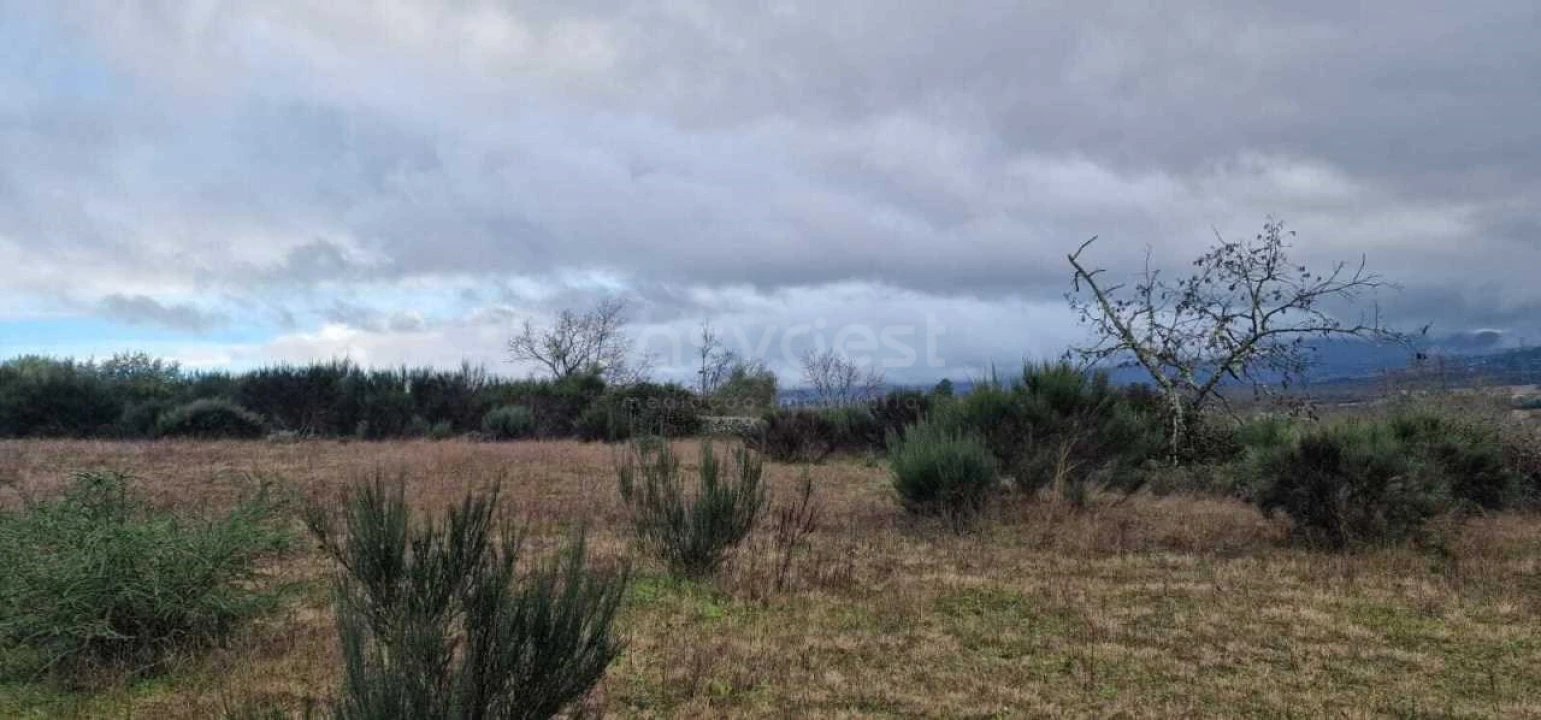 Terreno Agricola ou Rústico para Venda em Peraboa Foto 10