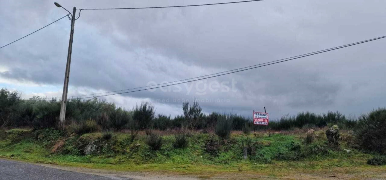 Terreno Agricola ou Rústico para Venda em Peraboa Foto 15