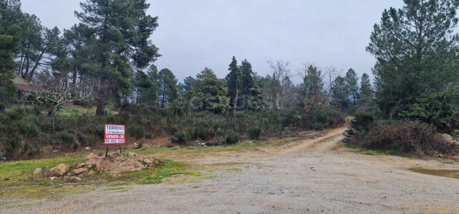 Terreno Agricola ou Rústico para Venda em Peraboa Foto 16