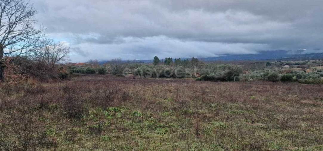 Terreno Agricola ou Rústico para Venda em Peraboa Foto 1