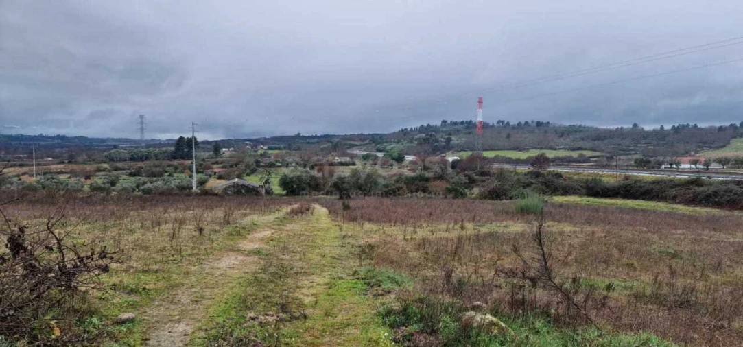 Terreno Agricola ou Rústico para Venda em Peraboa Foto 3