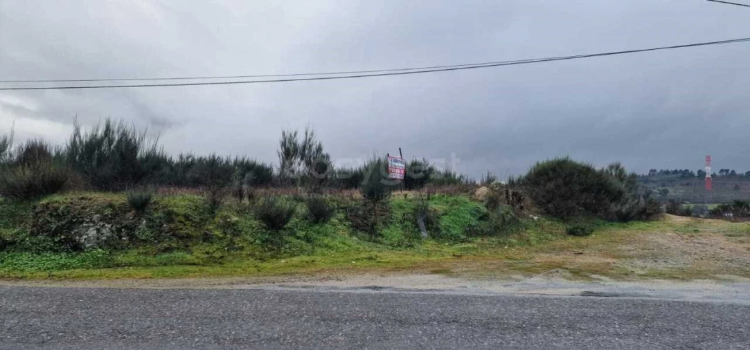 Terreno Agricola ou Rústico para Venda em Peraboa Foto 5