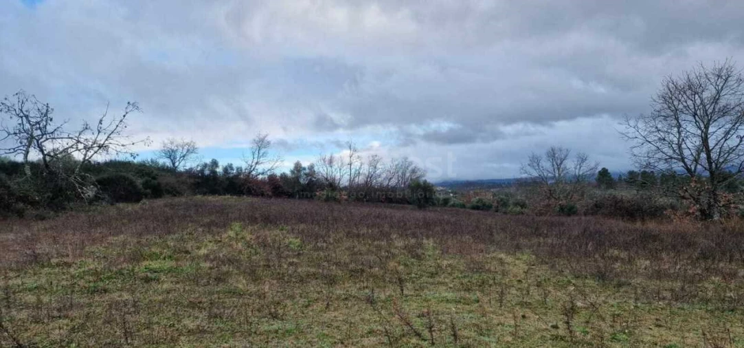 Terreno Agricola ou Rústico para Venda em Peraboa Foto 6