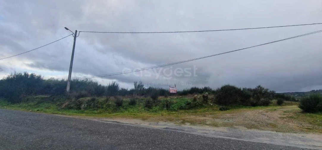 Terreno Agricola ou Rústico para Venda em Peraboa Foto 8