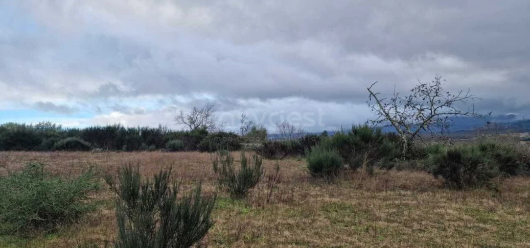 Terreno Agricola ou Rústico para Venda em Peraboa Foto 10