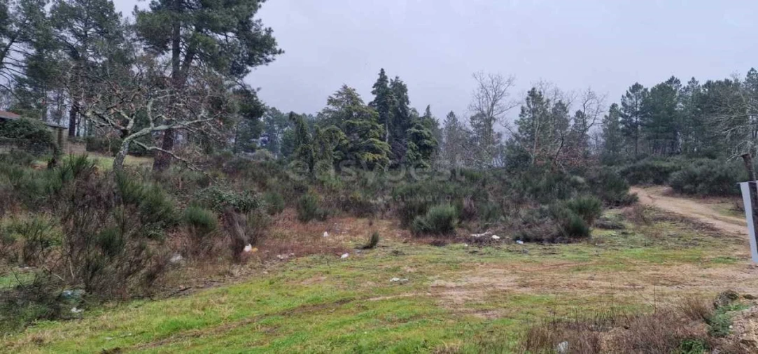 Terreno Agricola ou Rústico para Venda em Peraboa Foto 14