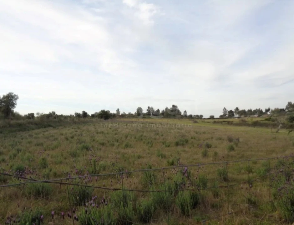 Terreno Agricola ou Rústico para Venda em São Miguel de Acha Foto 1