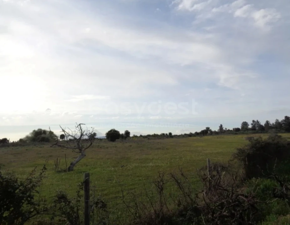Terreno Agricola ou Rústico para Venda em São Miguel de Acha Foto 2