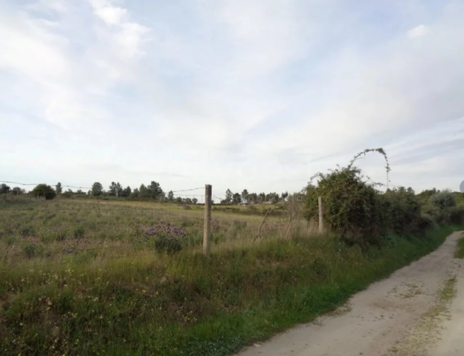 Terreno Agricola ou Rústico para Venda em São Miguel de Acha Foto 4
