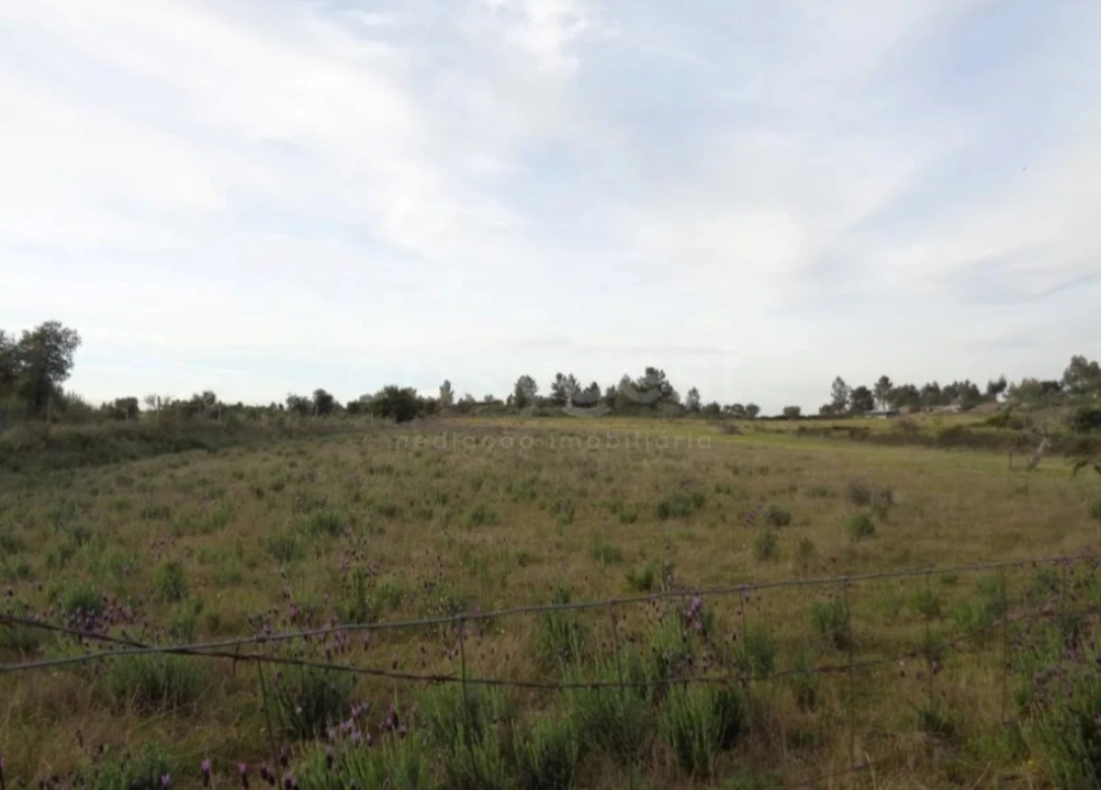 Terreno Agricola ou Rústico para Venda em São Miguel de Acha Foto 5