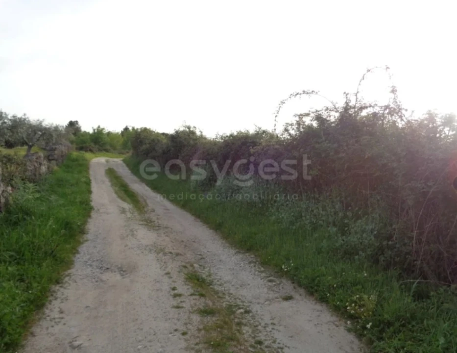Terreno Agricola ou Rústico para Venda em São Miguel de Acha Foto 6