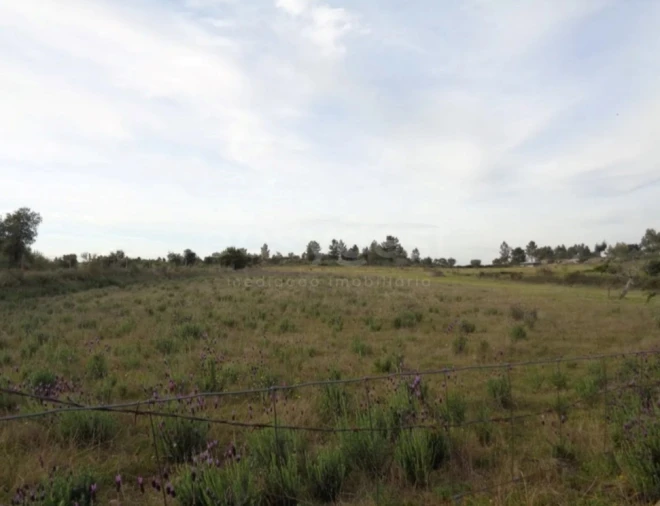 Terreno Agricola ou Rústico para Venda em São Miguel de Acha