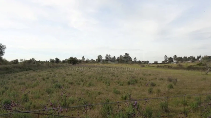 Terreno Agricola ou Rústico para Venda em São Miguel de Acha
