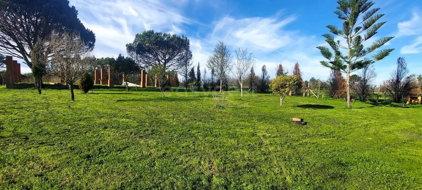 Quinta T2 para Venda em Angeja Foto 4