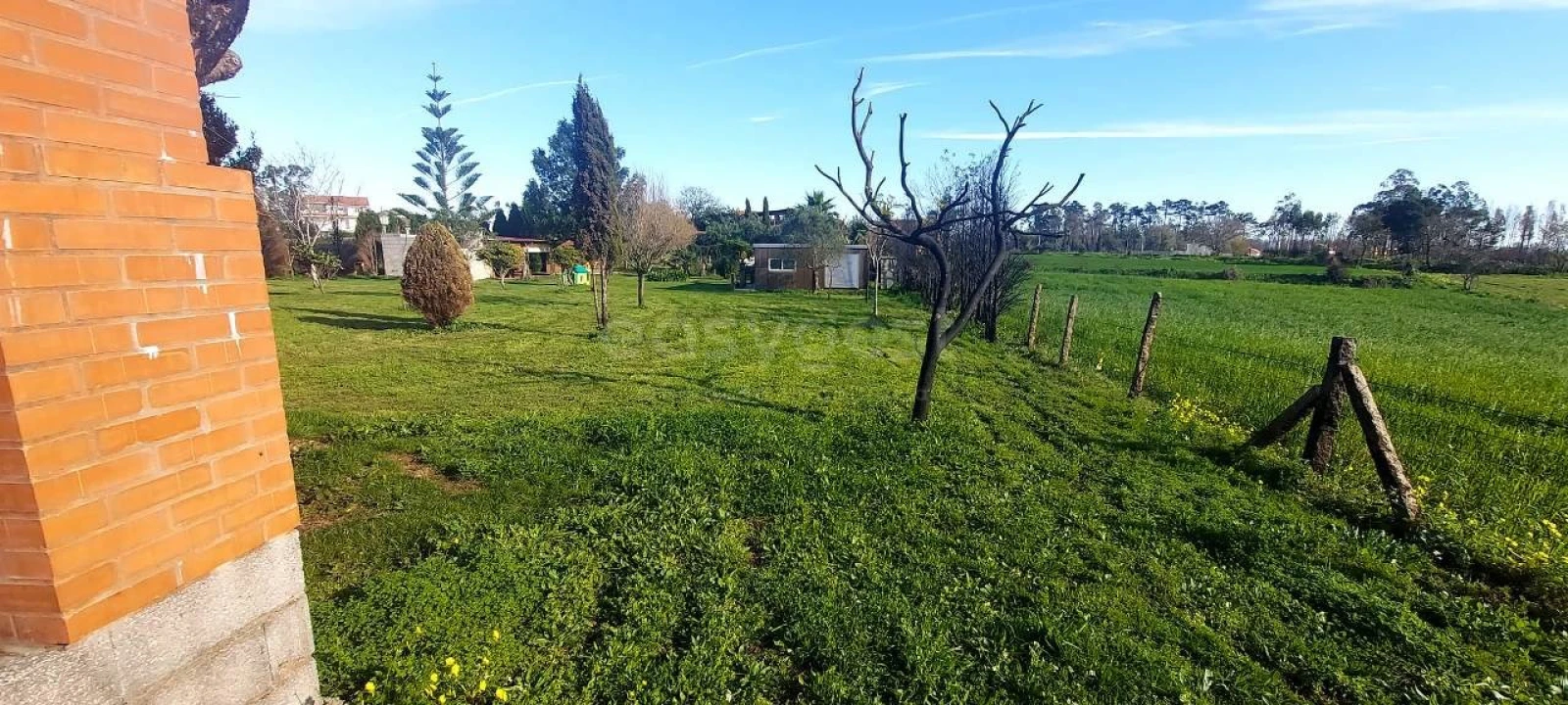 Quinta T2 para Venda em Angeja Foto 10