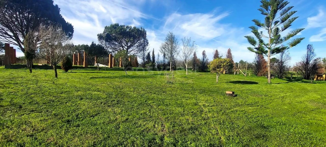 Quinta T2 para Venda em Angeja Foto 4