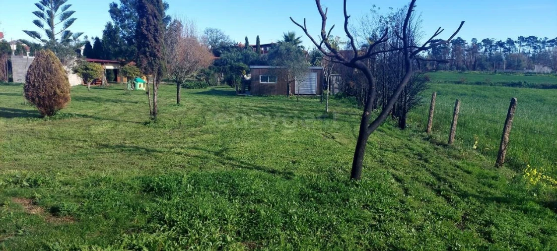 Quinta T2 para Venda em Angeja Foto 11