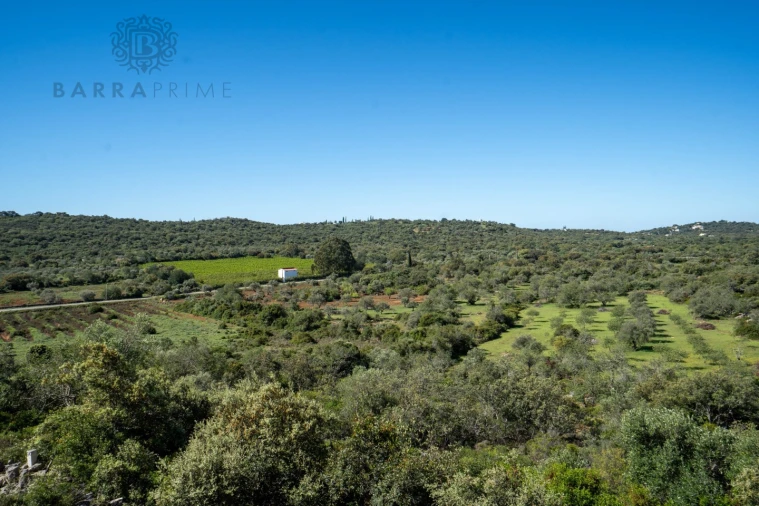 Moradia T3 para Venda em São Brás de Alportel Foto 66