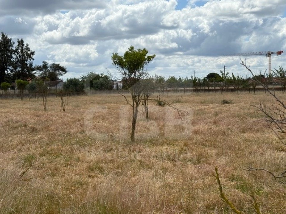 Terreno para Venda em Samora Correia Foto 4
