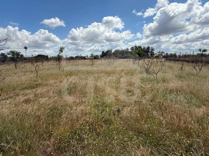 Terreno para Venda em Samora Correia Foto 2
