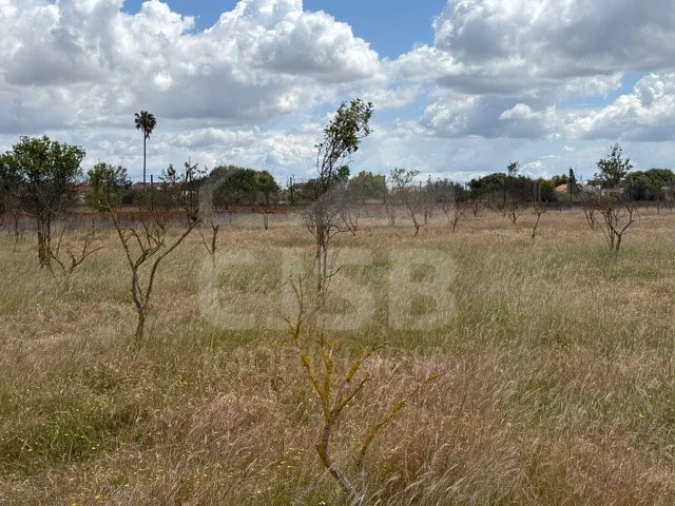 Terreno para Venda em Samora Correia Foto 3