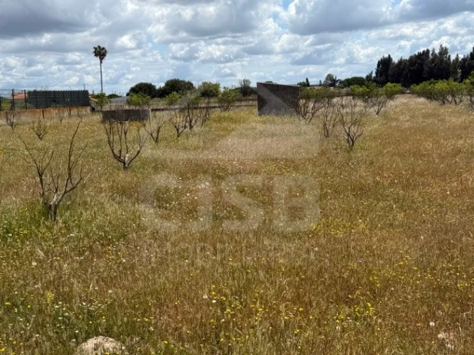 Terreno para Venda em Samora Correia Foto 9