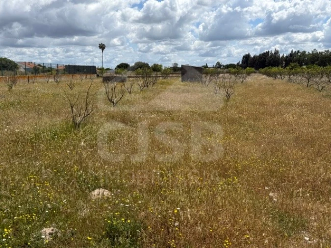 Terreno para Venda em Samora Correia Foto 10
