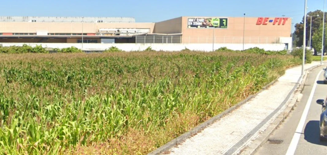 Terreno Misto para Venda em Póvoa de Varzim, Beiriz e Argivai Foto 2