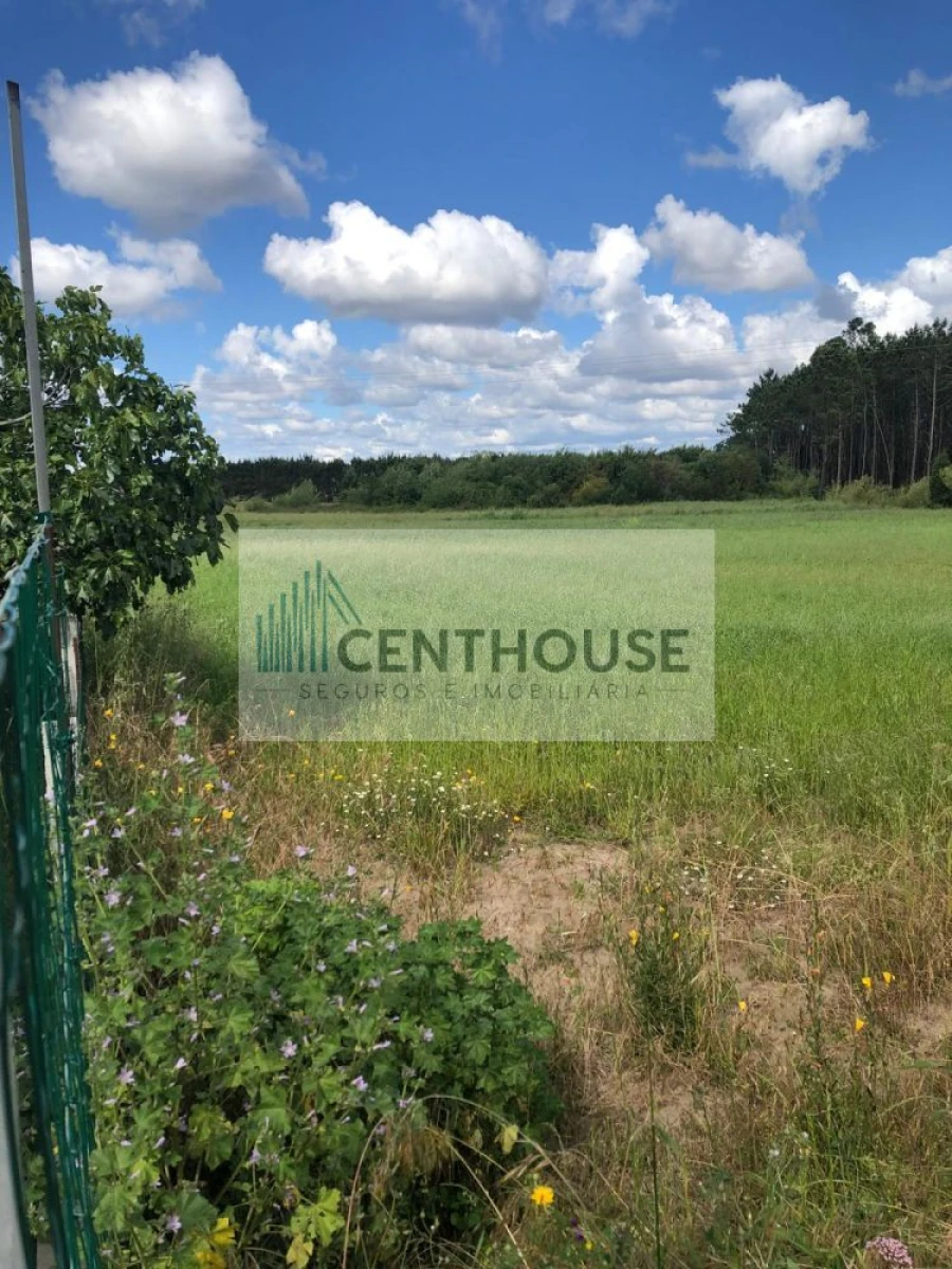Terreno para Venda em Tocha Foto 1
