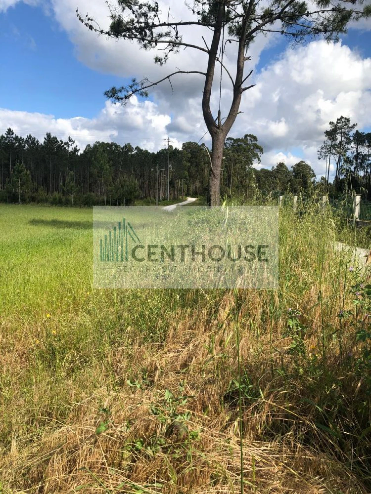Terreno para Venda em Tocha Foto 2