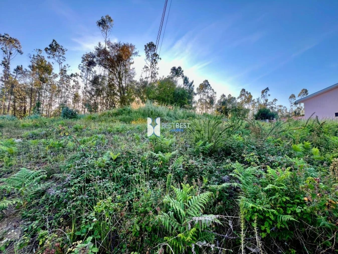 Terreno para Venda em Bagunte, Ferreiró, Outeiro Maior e Parada Foto 4