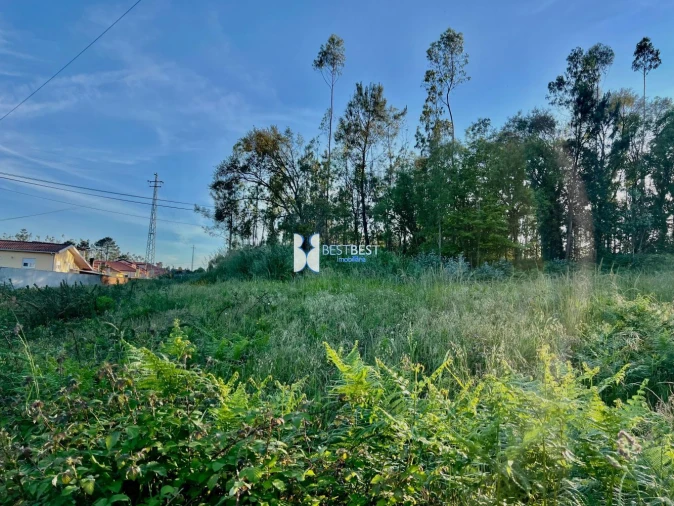 Terreno para Venda em Bagunte, Ferreiró, Outeiro Maior e Parada Foto 3
