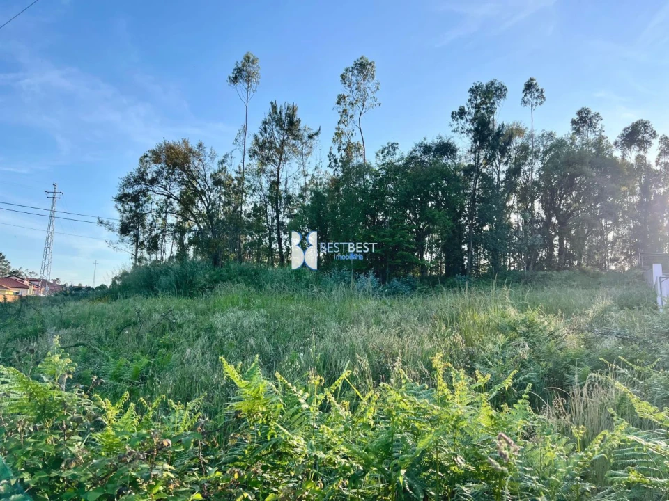 Terreno para Venda em Bagunte, Ferreiró, Outeiro Maior e Parada Foto 5