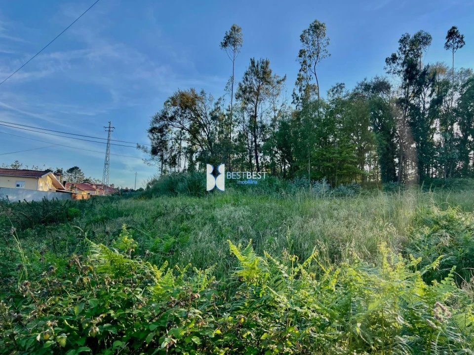 Terreno para Venda em Bagunte, Ferreiró, Outeiro Maior e Parada Foto 3
