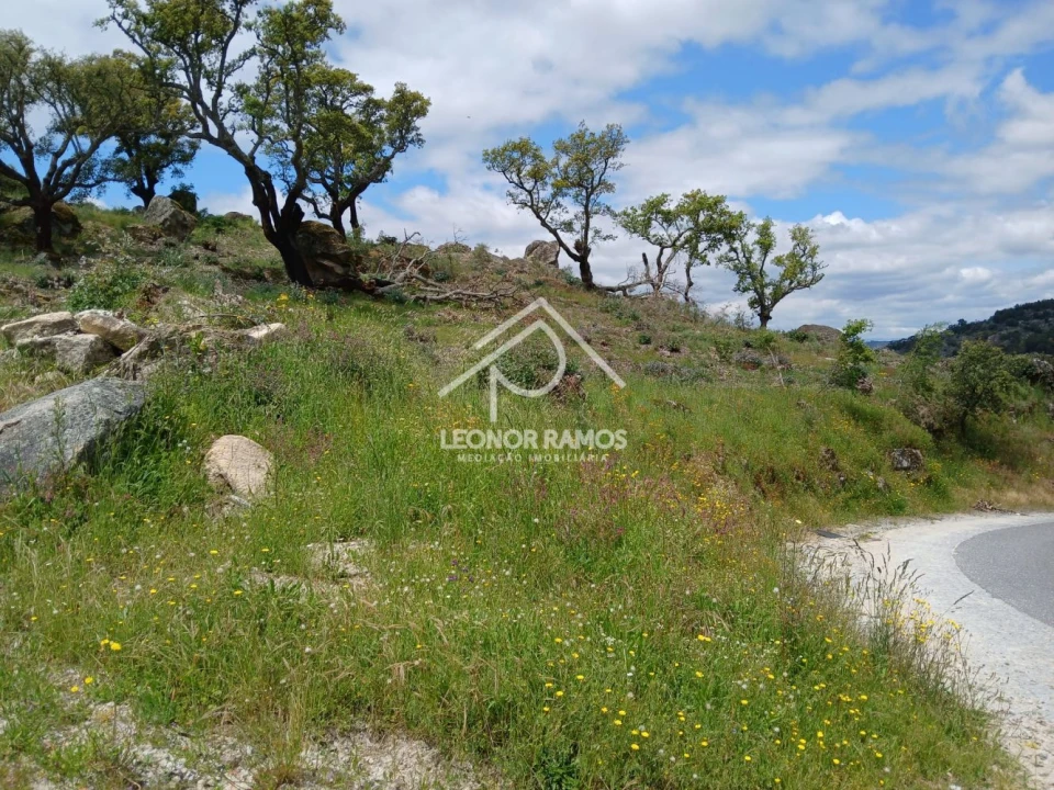 Terreno para Venda em Monsanto e Idanha-A-Velha Foto 5