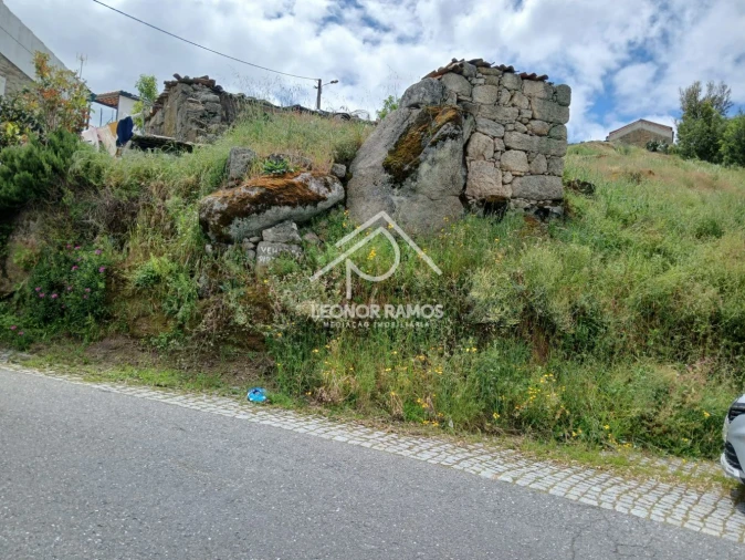 Terreno para Venda em Monsanto e Idanha-A-Velha Foto 3