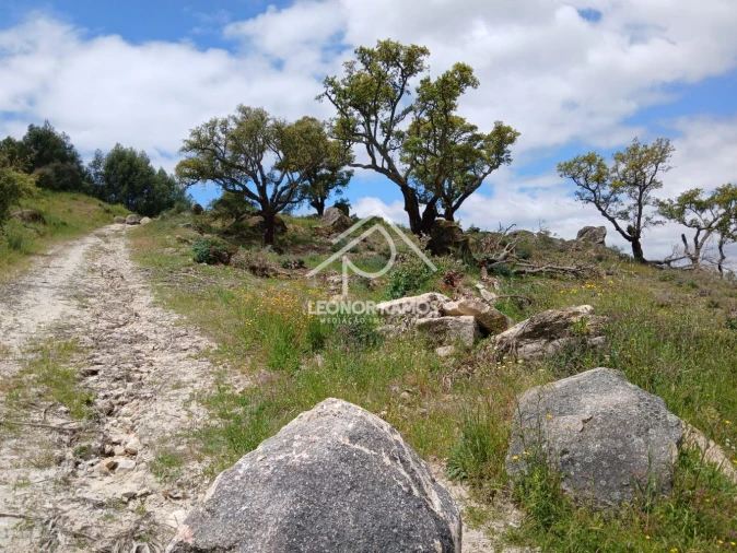 Terreno para Venda em Monsanto e Idanha-A-Velha Foto 1