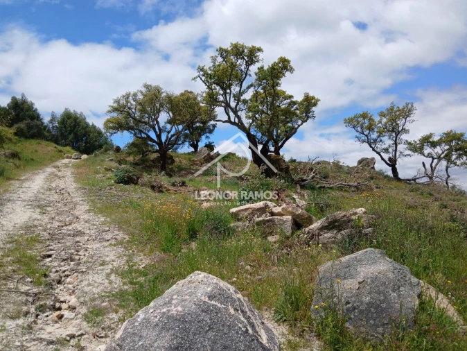 Terreno para Venda em Monsanto e Idanha-A-Velha Foto 6